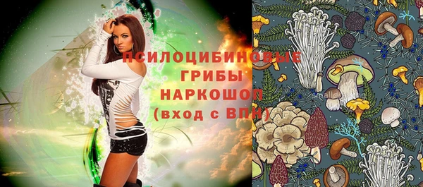 эйфоретик Вяземский