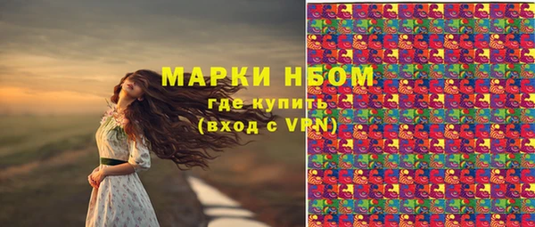 эйфоретик Вяземский