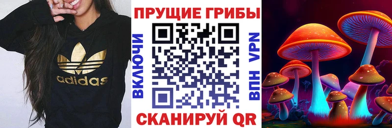 Псилоцибиновые грибы Magic Shrooms  хочу наркоту  Дно 