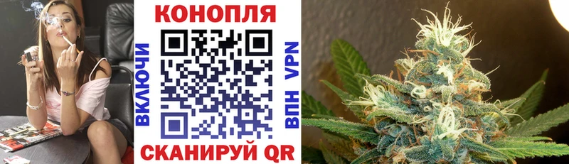 Конопля White Widow  хочу наркоту  Дно 